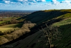 cold wind up at the beacon