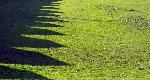 Thu 1st<br/>grass shadows