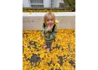 Sat 2nd<br/>gingko carpet
