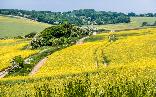 downland valley