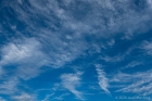 Sun 10th<br/>this most excellent canopy ...