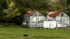 field of huts