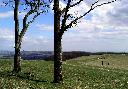 Mon 17th<br/>chanctonbury ring