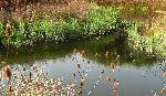 Mon 18th<br/>wetlands