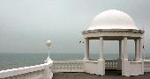 bexhill gulls