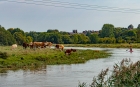 sunday by the ouse