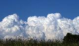 über-cumulus