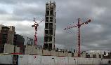 Fri 27th<br/>still cranes