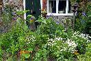 Sun 25th<br/>cottage garden