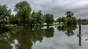 Sun 4th<br/>river thames near days lock