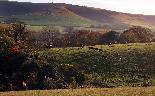 Sun 6th<br/>grazing