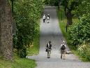 walking in the djurgården