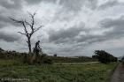 Sat 9th<br/>overcast