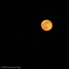 Sat 27th<br/>wolf moon