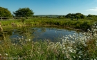 Sat 22nd<br/>the dew pond