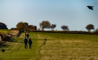 four people, jogger, dog, crow