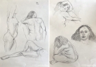 life drawings