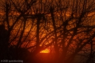 Sat 15th<br/>sunrise 7:12 am