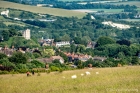 Sun 30th<br/>our tree filled town