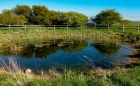 Mon 28th<br/>clear water