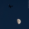 Tue 26th<br/>moon and plane