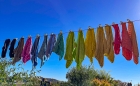 Sat 28th<br/>dishcloth pride