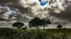 windy walking