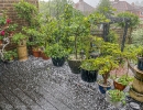 hailstorm