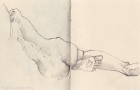 Fri 25th<br/>over the page