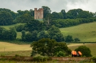 hi viz - powderham castle