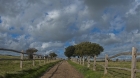 racecourse walk