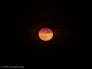 pink moon