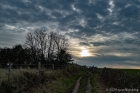 Wed 20th<br/>dark walk