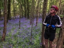 Tue 9th<br/>antmanbee hears birdsong