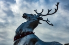 Mon 10th<br/>covent garden reindeer