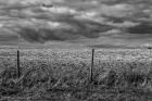 chalky ploughed field