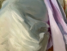 Thu 27th<br/>master of drapery