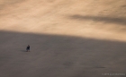 figures in a sandscape