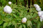 Wed 23rd<br/>sample pic ...