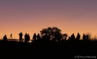 Wed 16th<br/>comet watchers