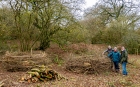 ashcombe bottom