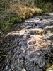 waters of leith